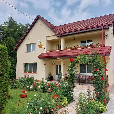 Steaua Nordului Hotel Târgu Neamţ Exterior foto