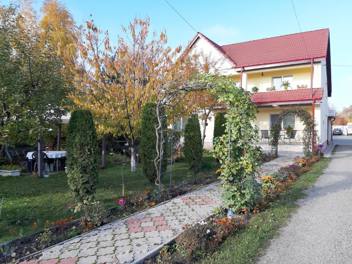 Steaua Nordului Hotel Târgu Neamţ Exterior foto