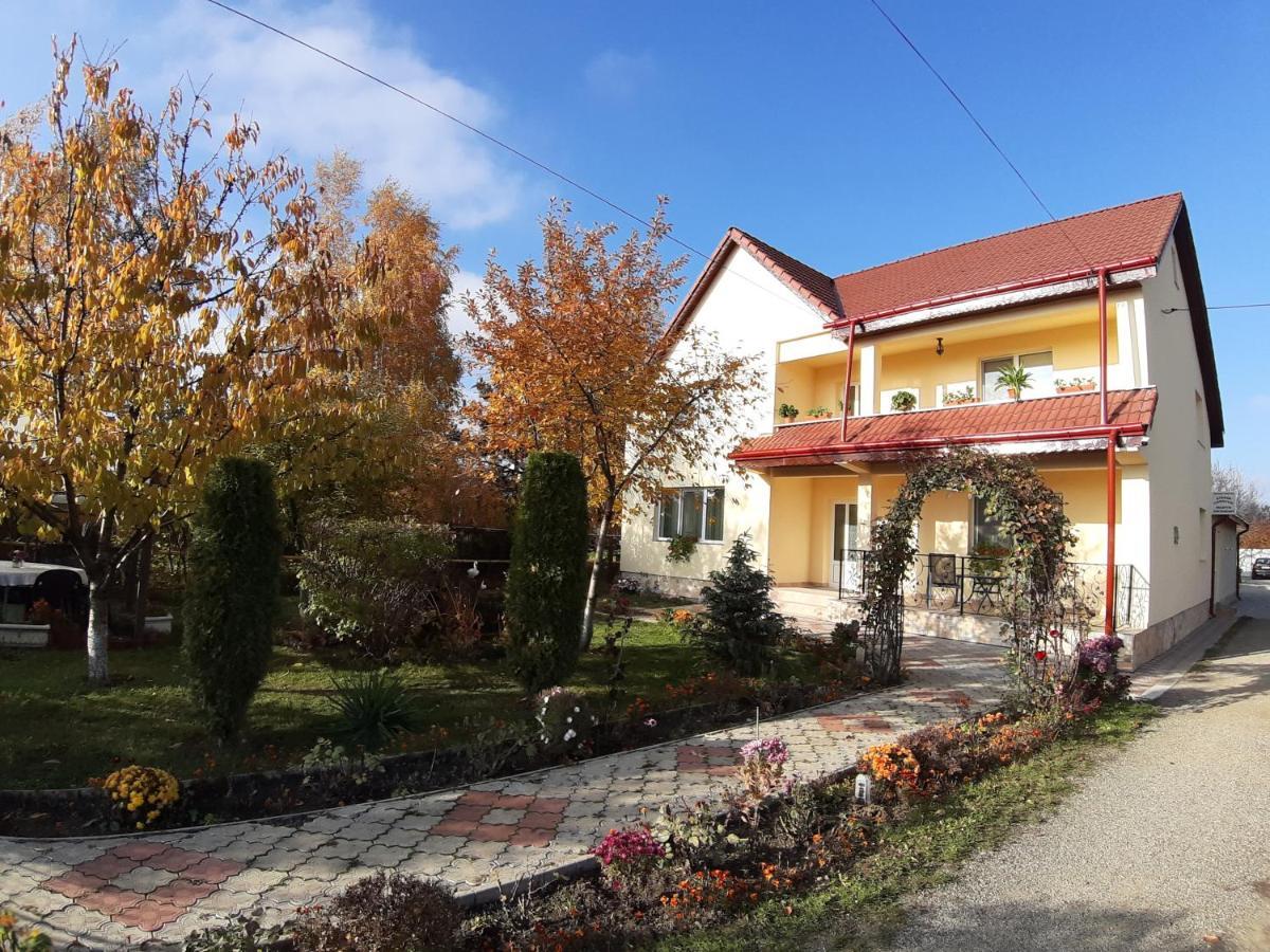Steaua Nordului Hotel Târgu Neamţ Exterior foto