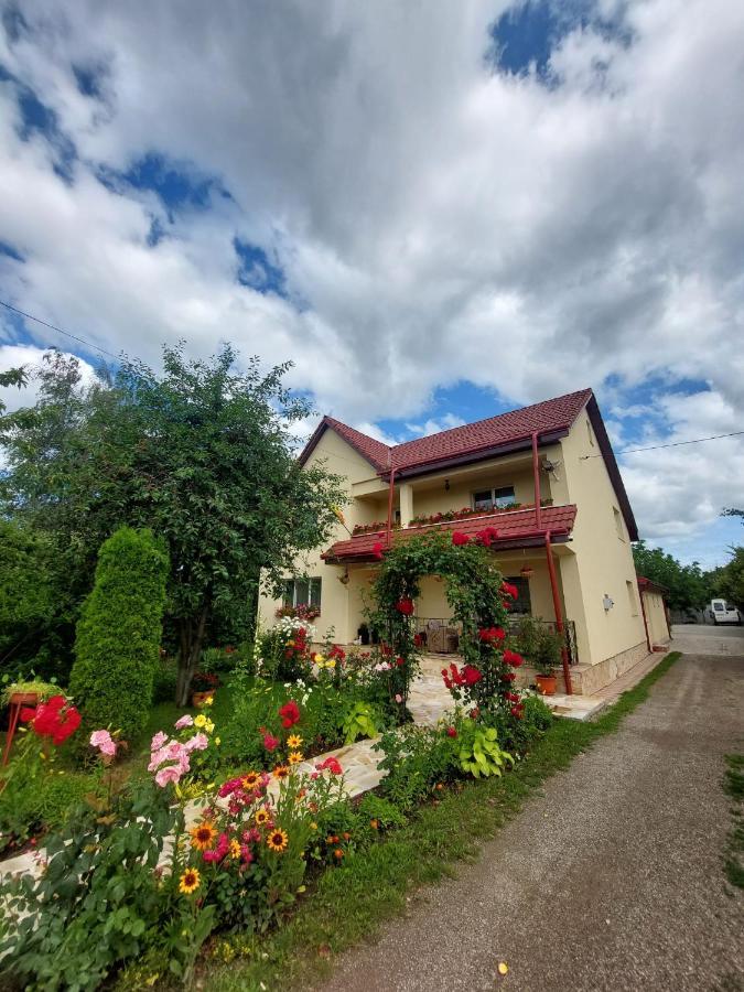 Steaua Nordului Hotel Târgu Neamţ Exterior foto